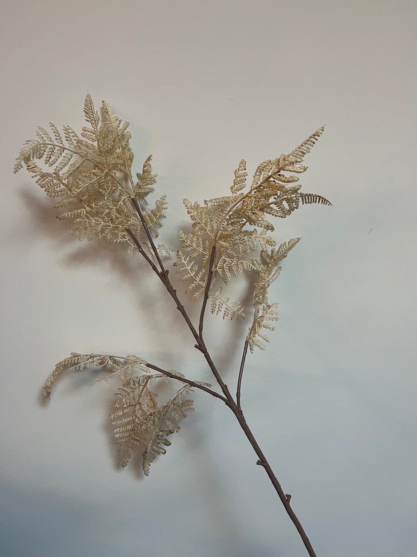 Autumn branch cream