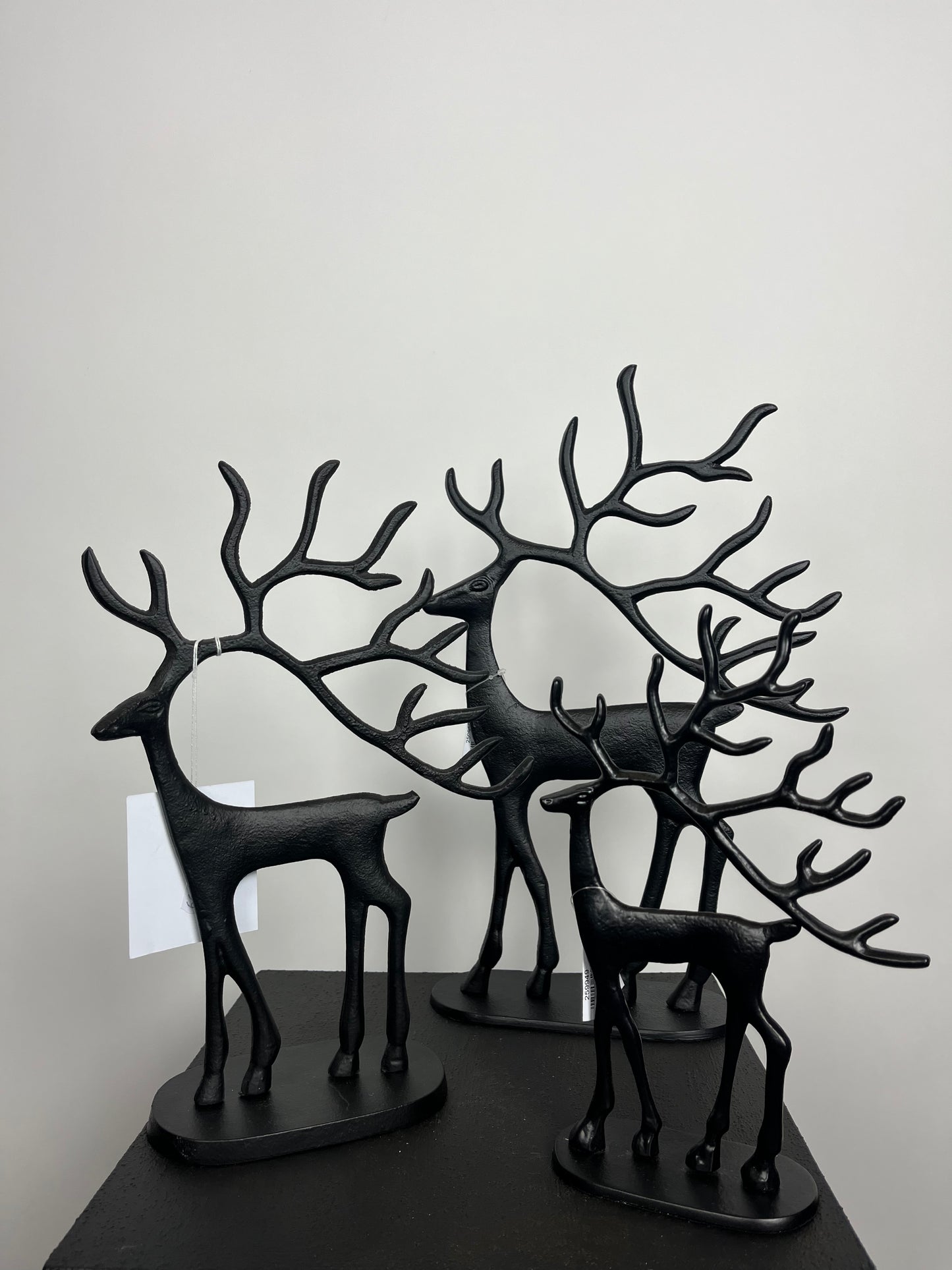 Rendier zwart M