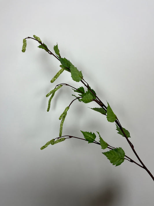 Betula tak groen
