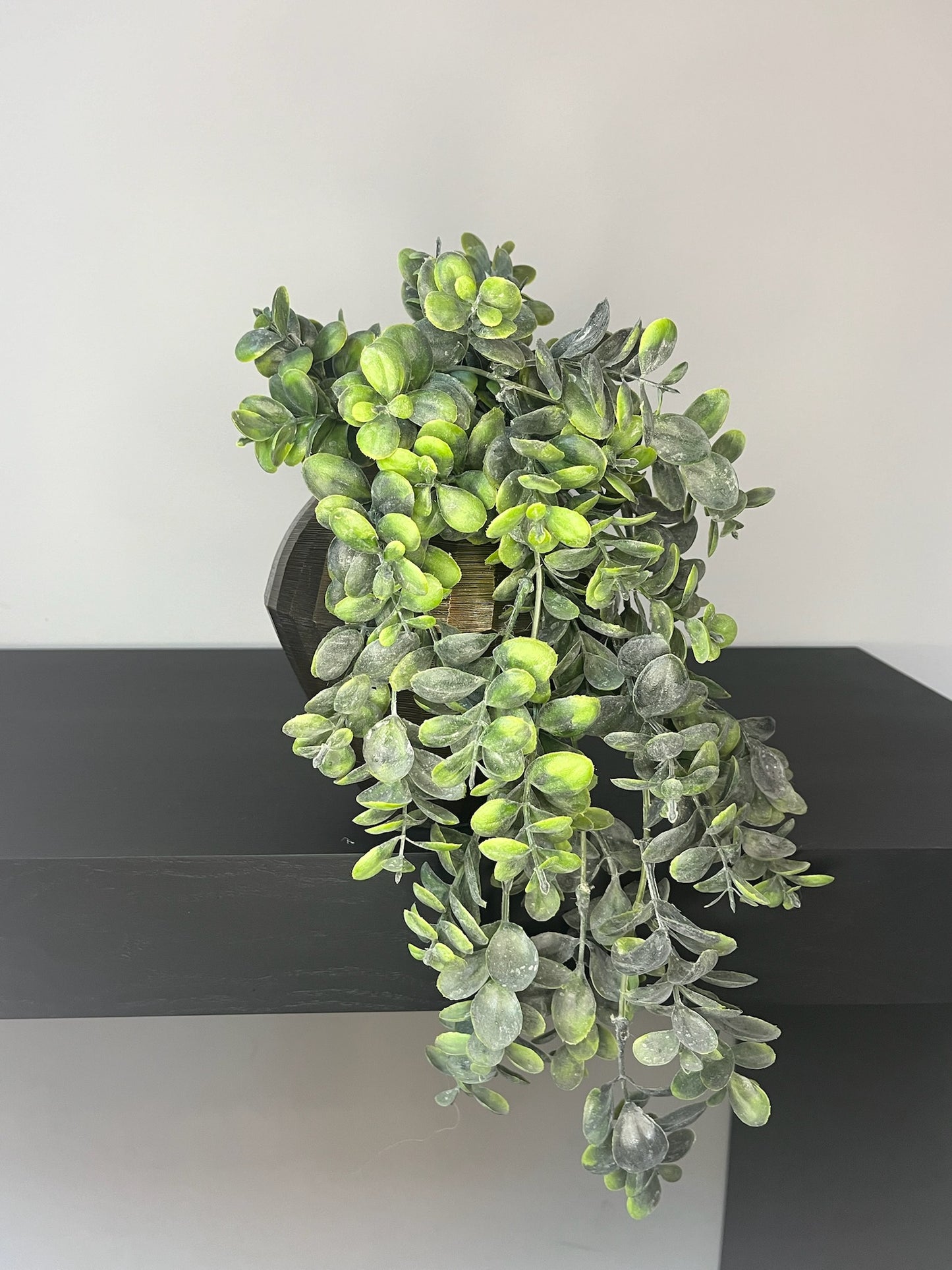 Boxwood hanging plant