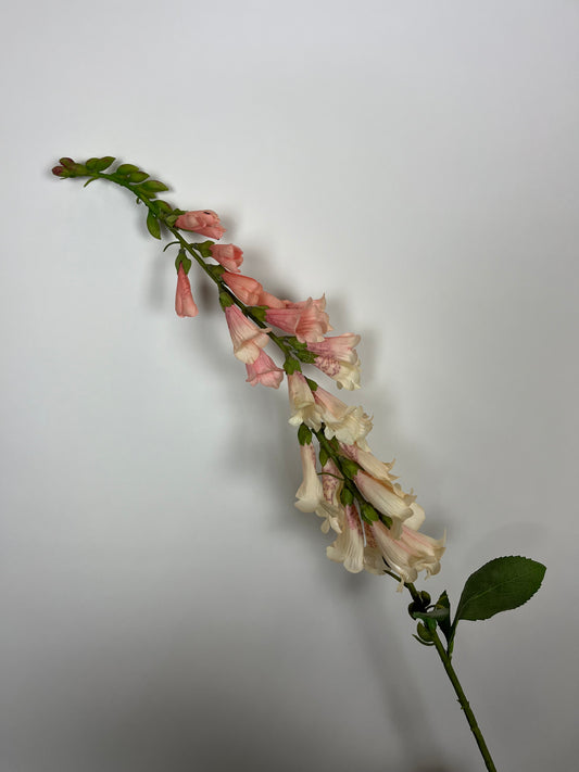 Vingerhoedtak roze