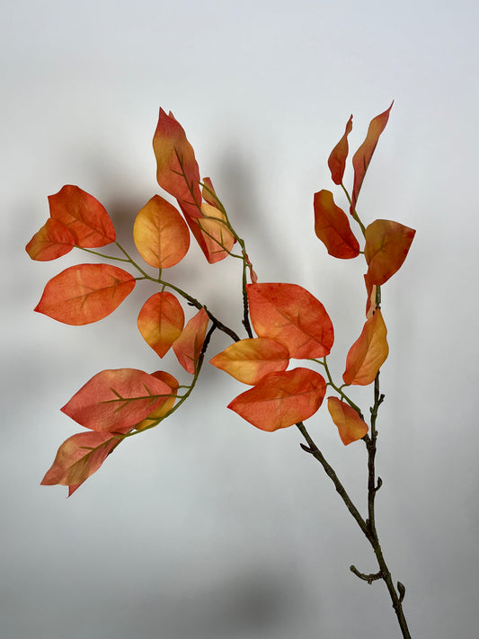 Herfstblad oranje