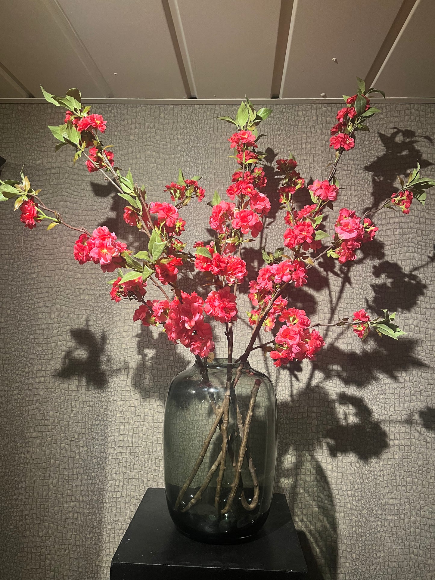 Cherry blossom