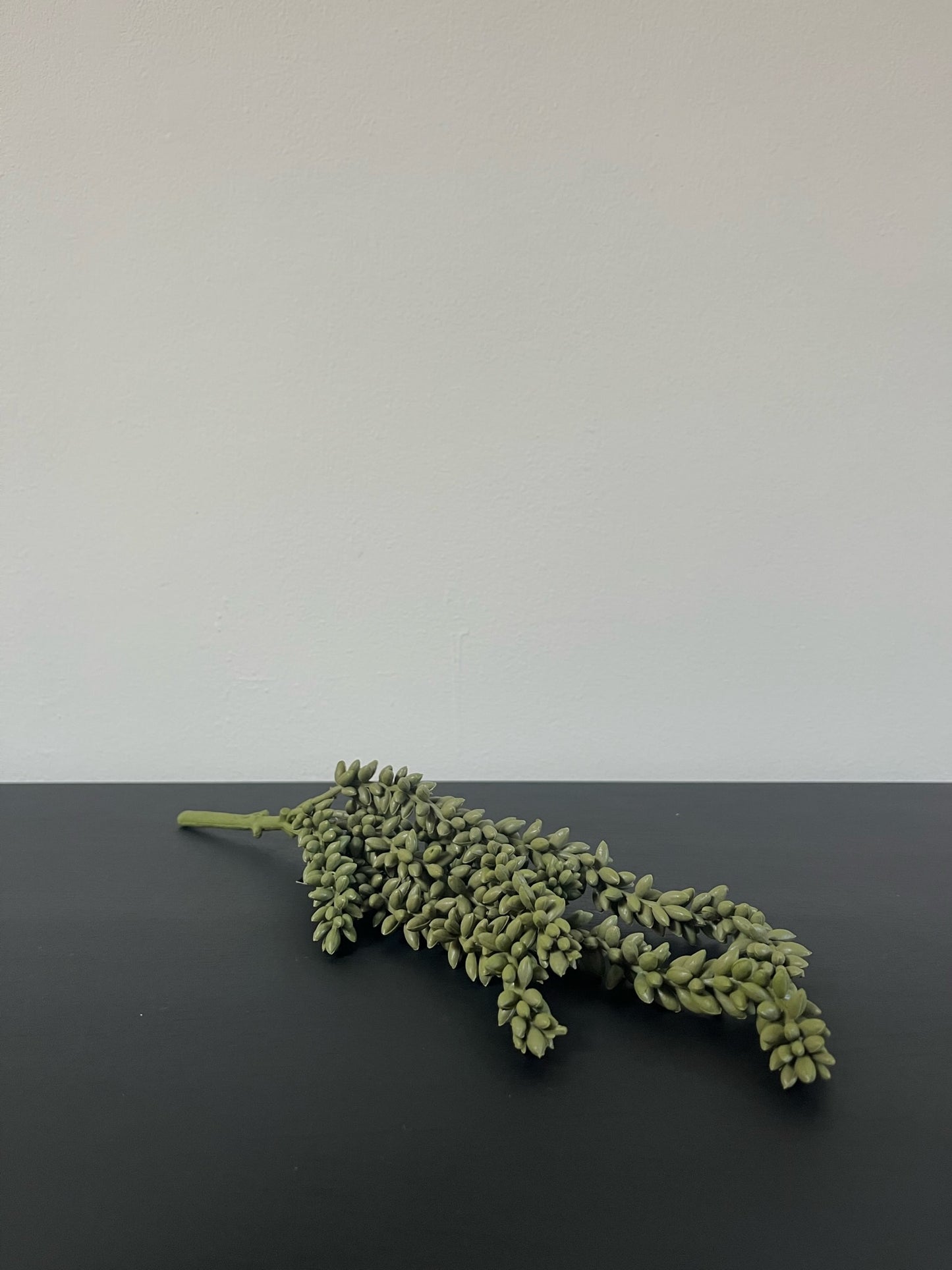 Erwtenplant groen