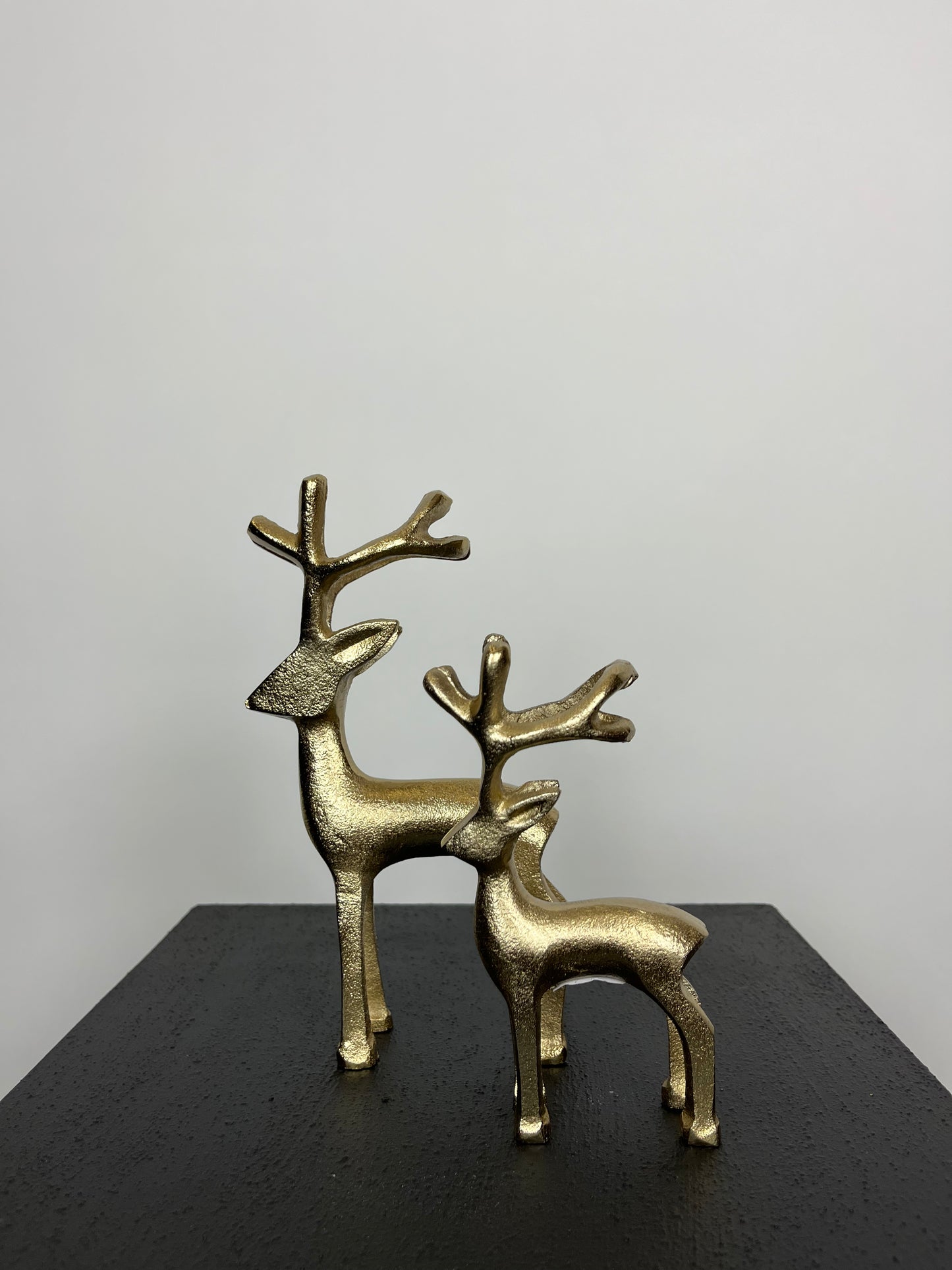 Rudolf goud S